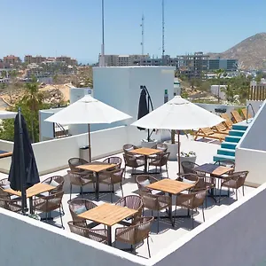  Hotel Colmena Marina Cabos